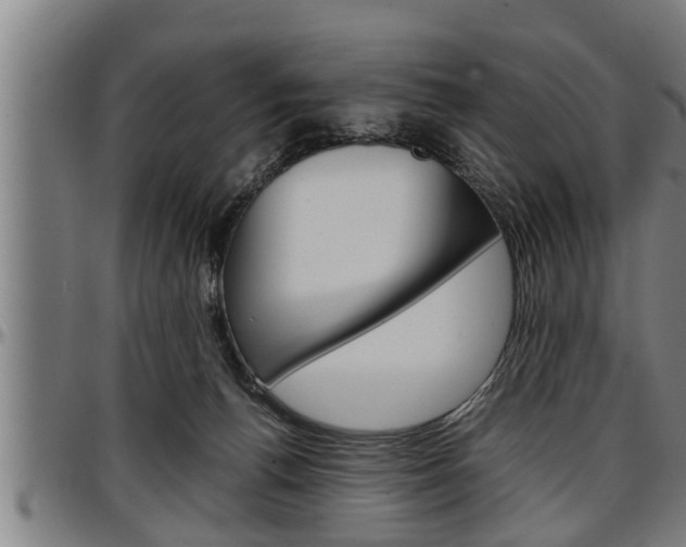 X0000097500176200802220850