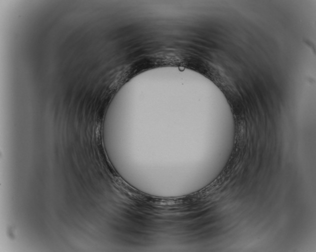 X0000097500177200802220850