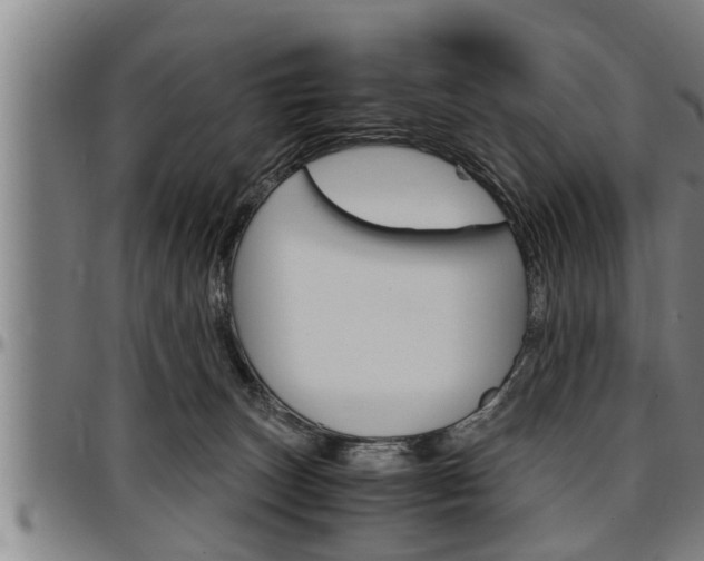 X0000097500179200802220850