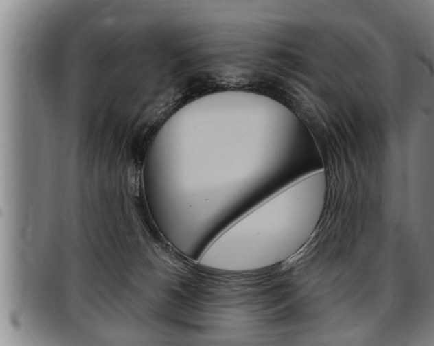 X0000097500180200802220850