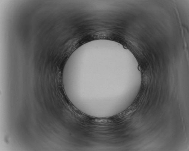 X0000097500181200802220850