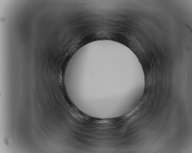 X0000097500183200802220850