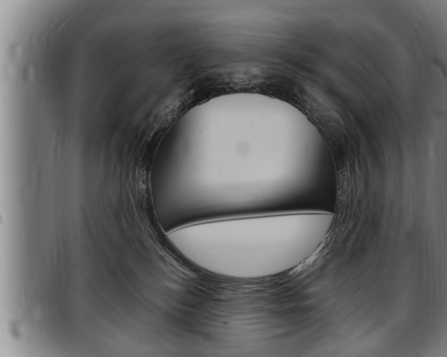 X0000097500184200802220850