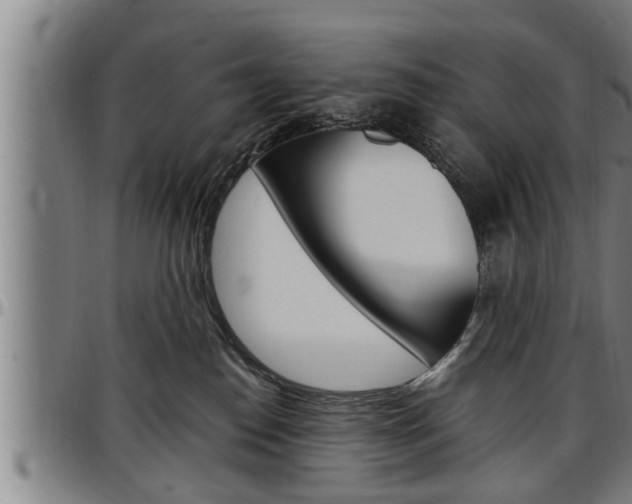X0000097500186200802220850