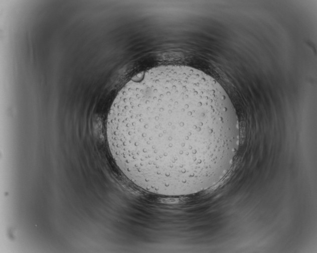 X0000097500187200802220850