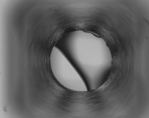 X0000097500188200802220850
