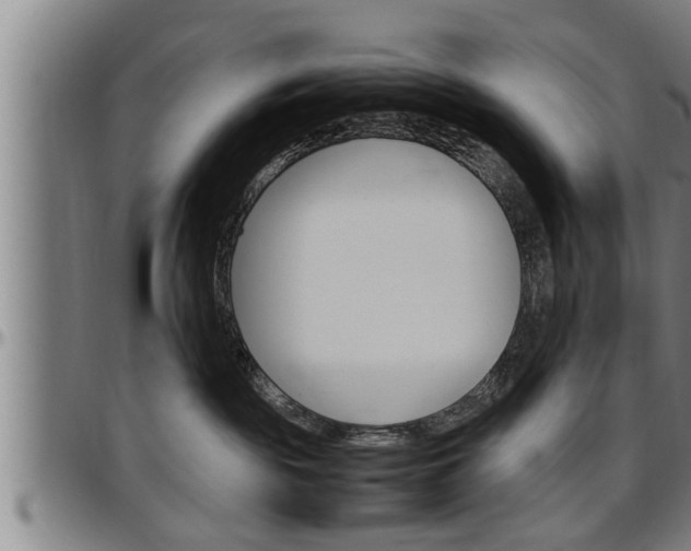 X0000097500189200802220850