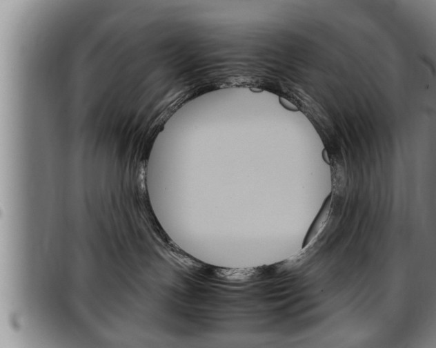 X0000097500191200802220850