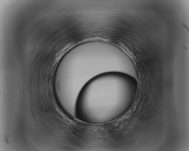 X0000097500193200802220849