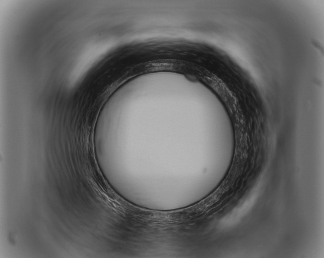 X0000097500194200802220849