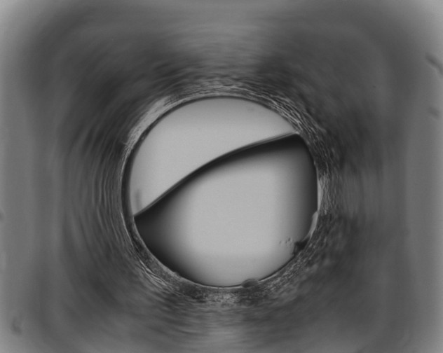 X0000097500195200802220849