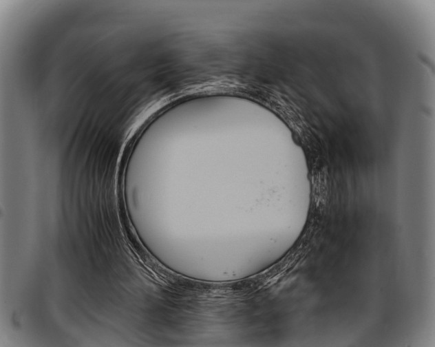X0000097500196200802220849