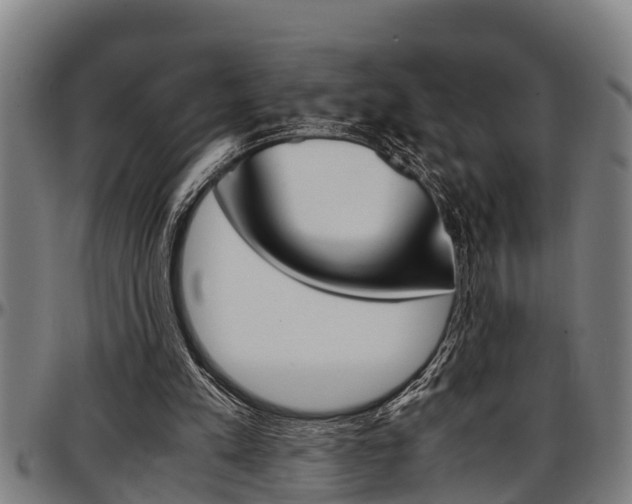 X0000097500197200802220849