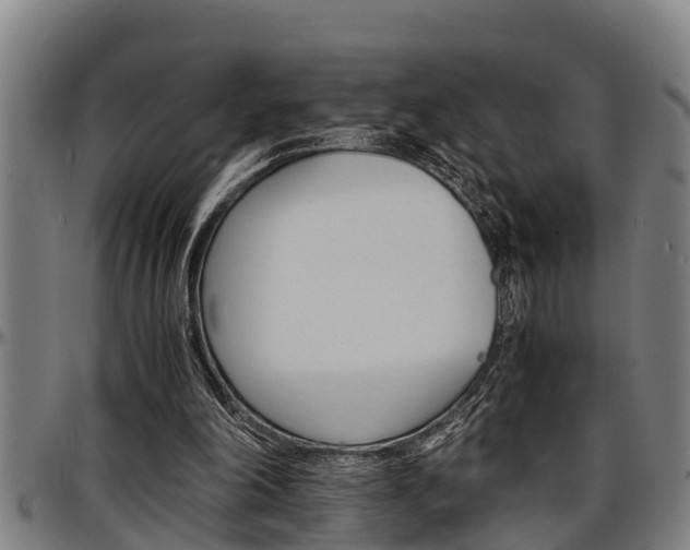 X0000097500198200802220849