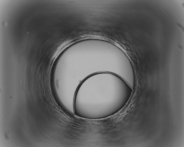 X0000097500199200802220849