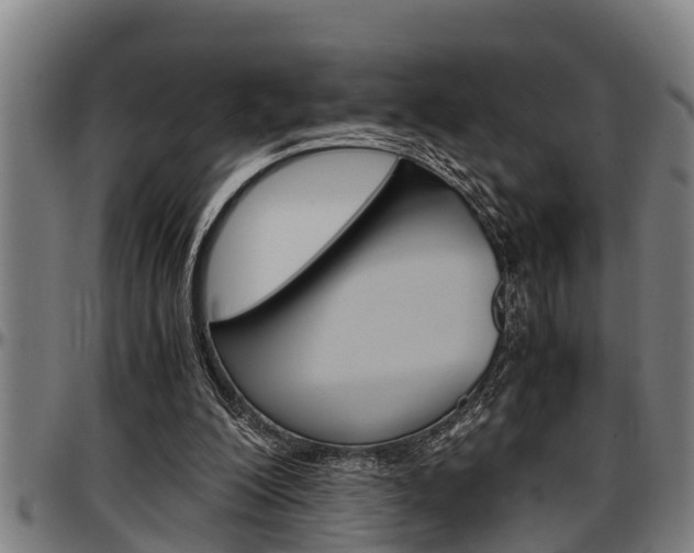 X0000097500200200802220849
