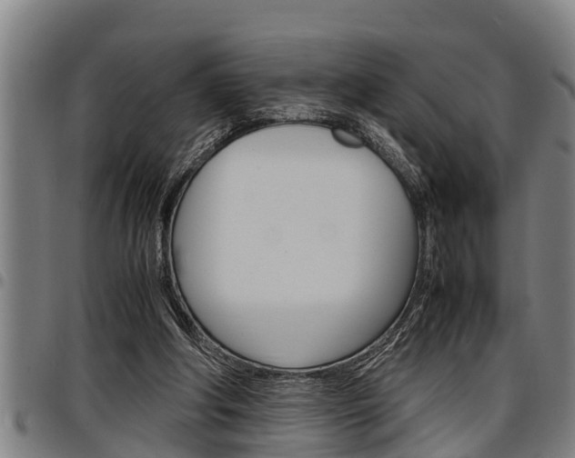 X0000097500202200802220849