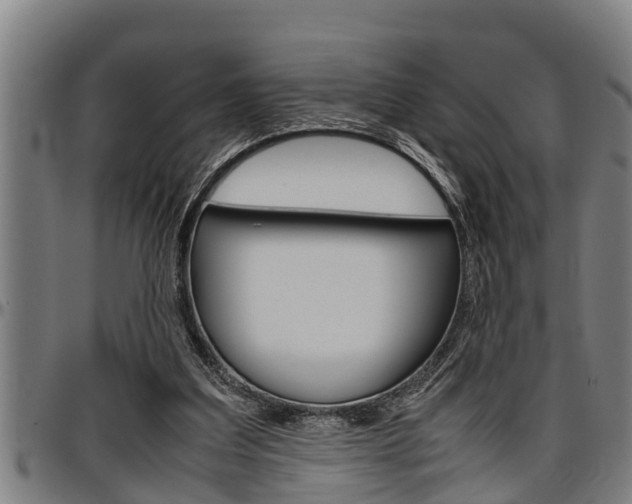 X0000097500203200802220849
