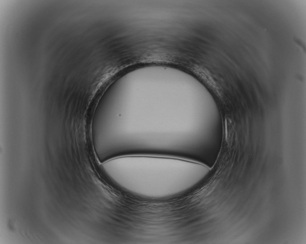 X0000097500204200802220849