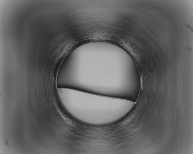 X0000097500205200802220849
