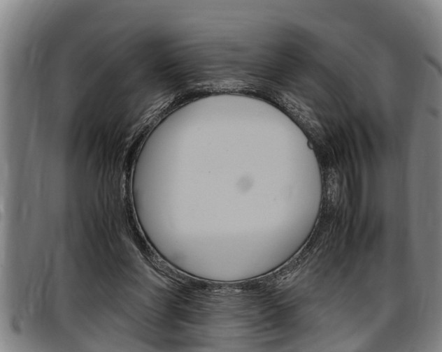 X0000097500206200802220849