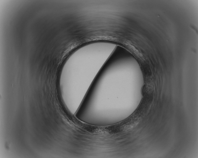 X0000097500207200802220849