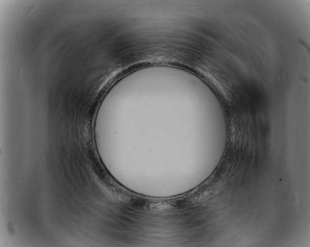 X0000097500208200802220849