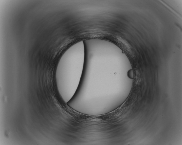 X0000097500210200802220849