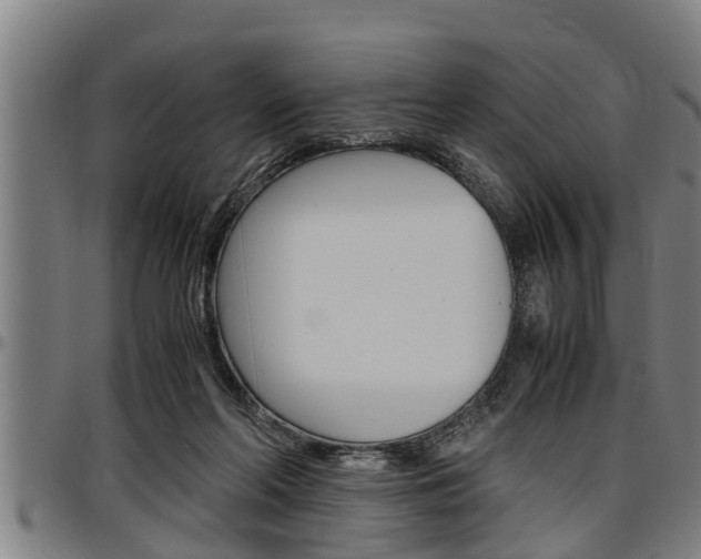 X0000097500214200802220849