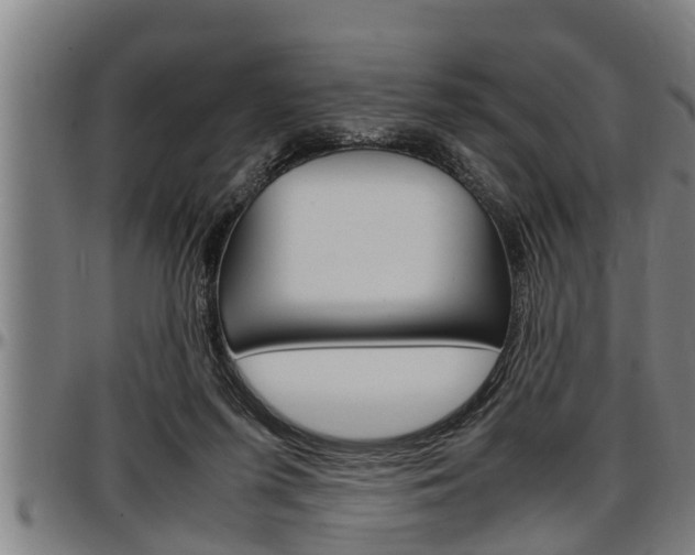 X0000097500215200802220849