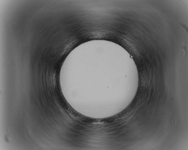 X0000097500216200802220849