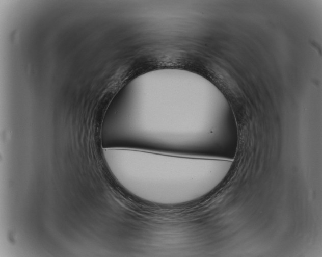X0000097500217200802220849