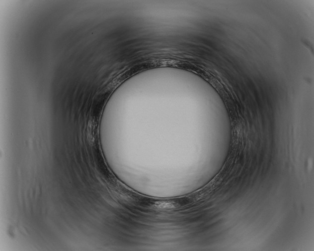 X0000097500218200802220849