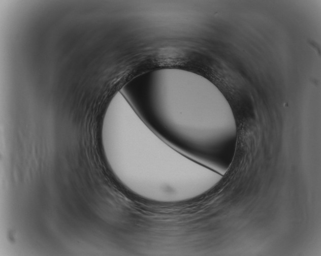X0000097500219200802220849