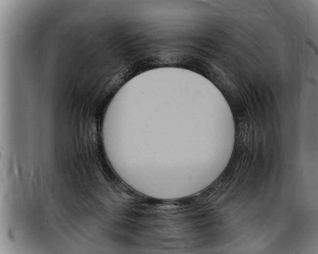 X0000097500220200802220849