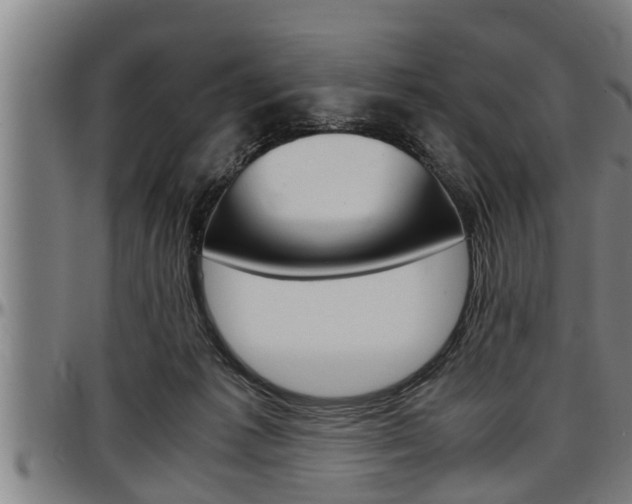 X0000097500221200802220849