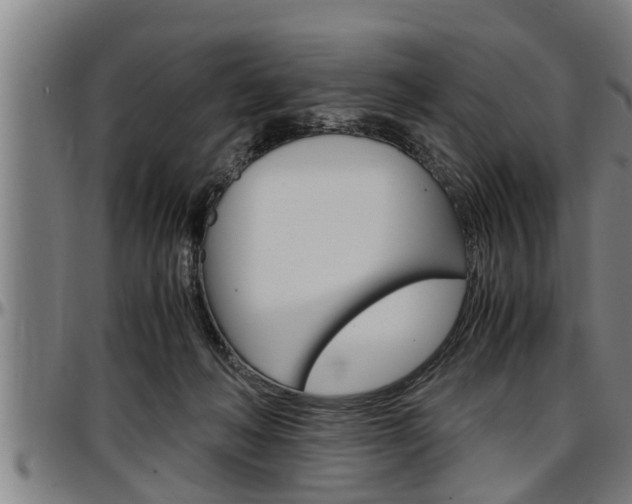 X0000097500222200802220849