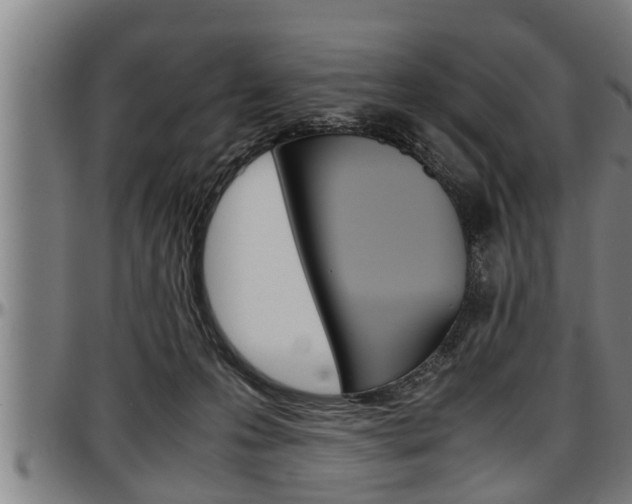 X0000097500223200802220849