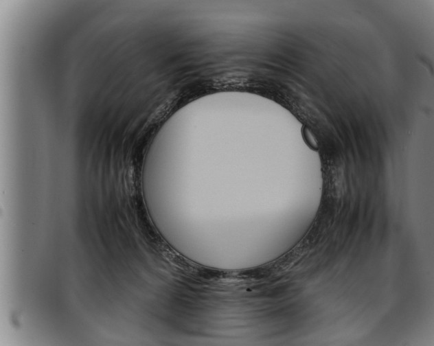 X0000097500224200802220849