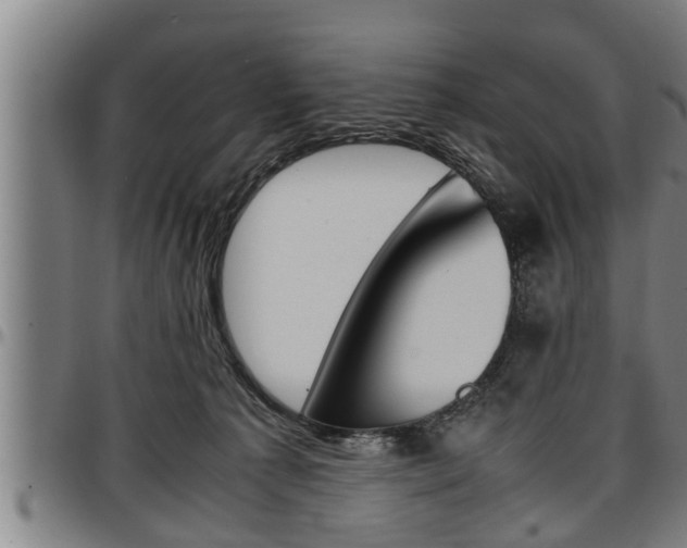 X0000097500225200802220849