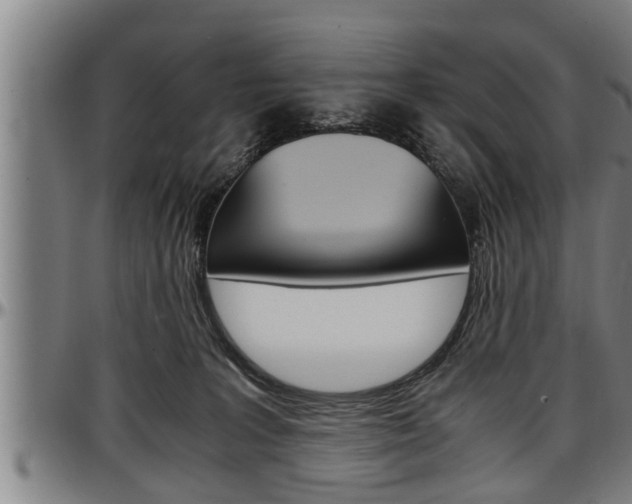 X0000097500227200802220849