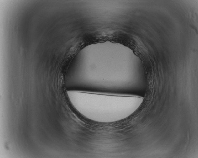 X0000097500231200802220849