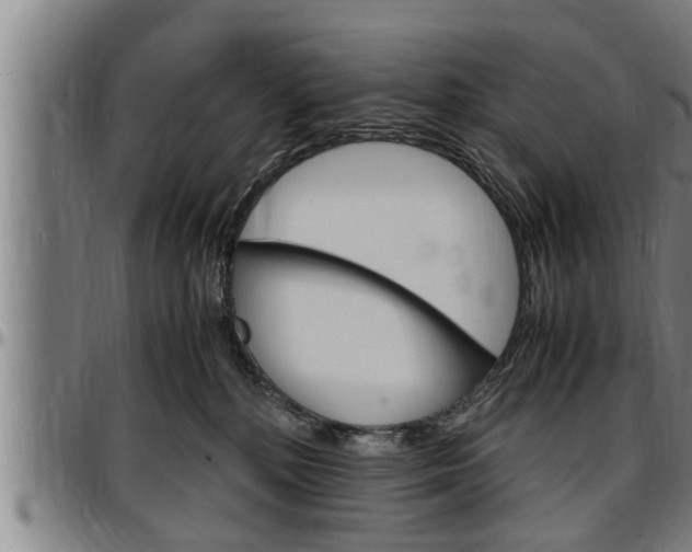 X0000097500232200802220849
