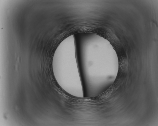 X0000097500233200802220849