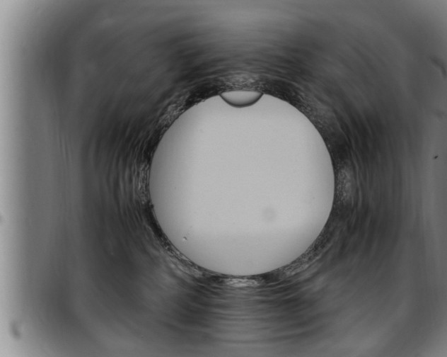 X0000097500234200802220849