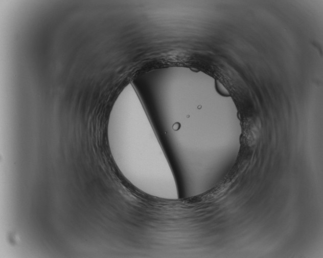 X0000097500235200802220849
