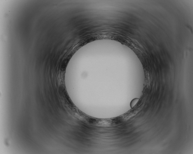X0000097500236200802220849
