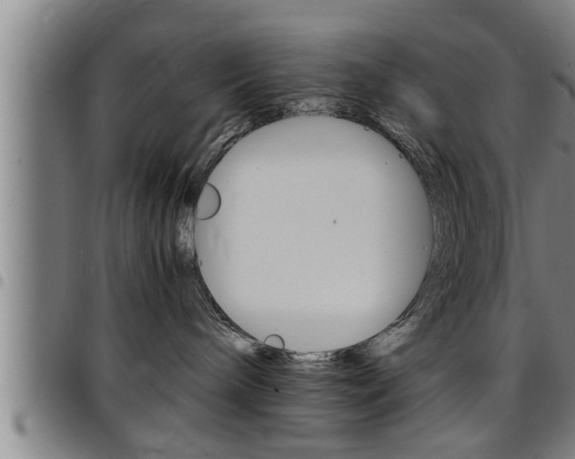 X0000097500240200802220849