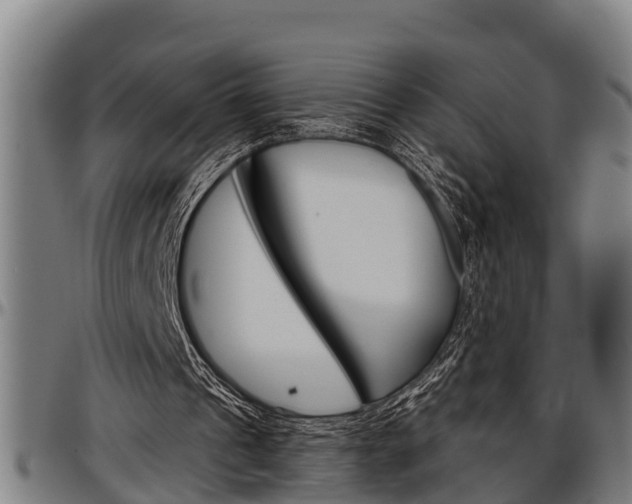 X0000097500241200802220848