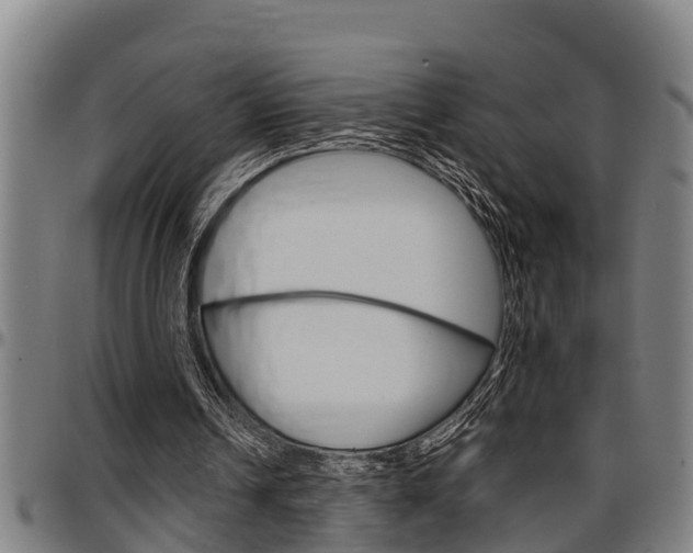 X0000097500242200802220848